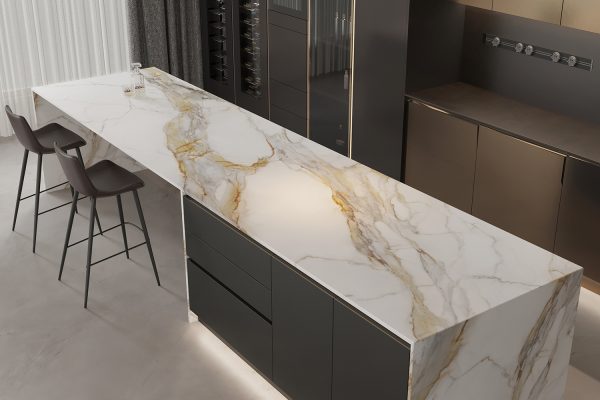 6351 Elena Venosta Application-1