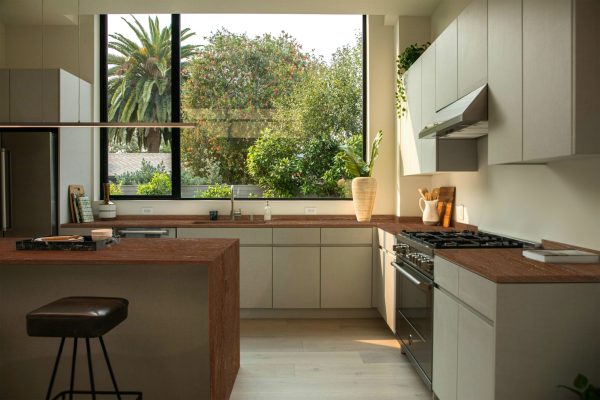 6911 cat-han-VgyN_CWXQVM-unsplash